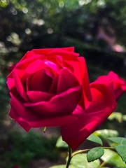 DF22C506-5088-4820-B964-1D15DD873B06/L0/001