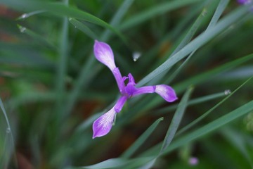 IMGP5564.JPG