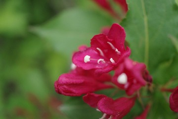 IMGP7963.JPG