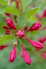 IMGP7966.JPG