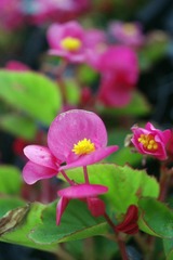 IMGP7976.JPG