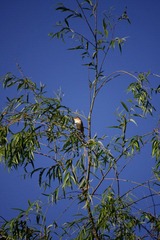 IMGP8730.JPG