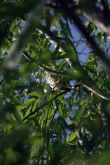 IMGP8732.JPG