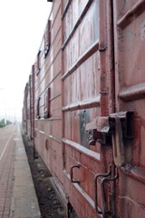 IMGP9055.JPG