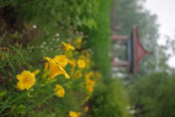 IMGP9069.JPG