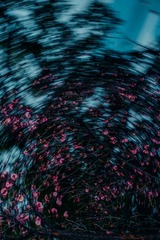 1000014368