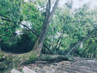 1996