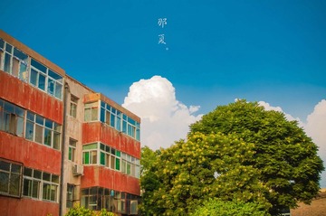 那夏.jpg