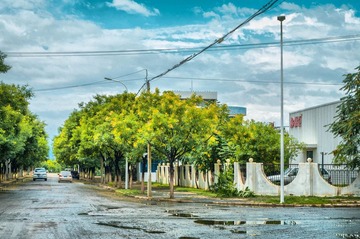 IMGP9026.jpg