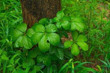 IMGP8967.jpg