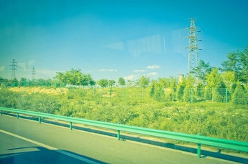 IMGP9170.jpg