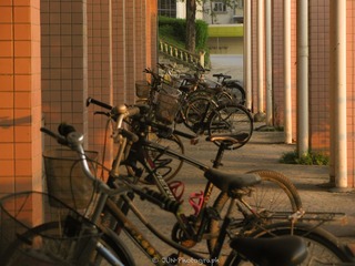 BEFA510D-875C-43CC-B24E-69791809B25D/L0/001