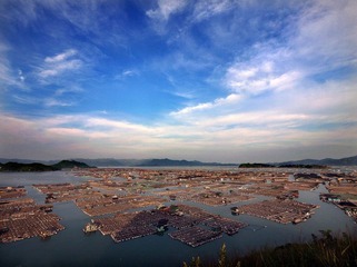 东安渔排.jpg