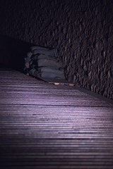 001