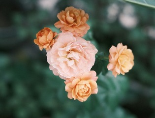 2B729B00-C9BE-4793-AA81-D853466A1074/L0/001