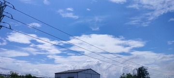 1000013043
