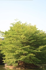15D79F6C-E1F4-4242-8038-A2053AA04C7D/L0/001