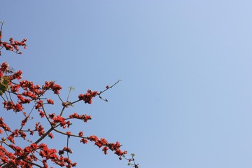 C20D638E-254E-4E52-B001-0EA694F32F1D/L0/001