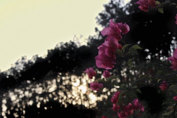 99646A3C-9362-4CD1-B683-4633211A0547/L0/001