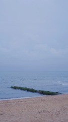 D52DD49B-E21A-40EB-AF6F-C689AB4F363B/L0/001