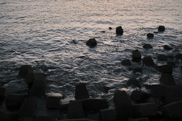 8A5C8327-A266-4C37-8E68-D929450A64B3/L0/001
