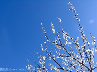 5F7413F9-9C19-4075-A09D-1029304D47E6/L0/001