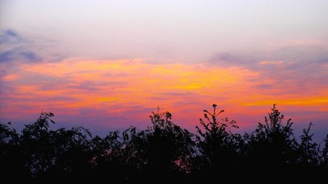 0298E0A1-30AC-4B82-AE32-35D9CA3CD38E/L0/001