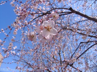 B4B0ADDD-E093-4C1F-9F04-2FD464631F05/L0/001