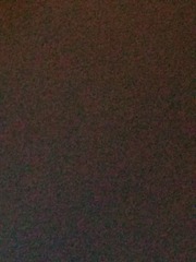 5684329