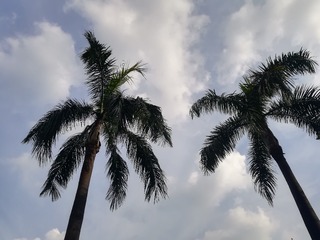 5408756