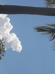 5447439