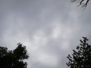 5398181