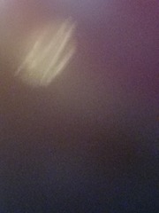 5598457