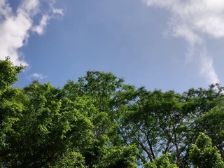 5332326