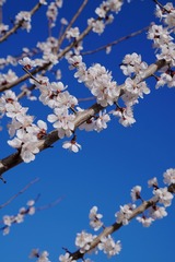 9777BF6D-14AF-41F7-B1C0-9CF29A2AA4F2/L0/001