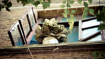 DSC01094-1-1