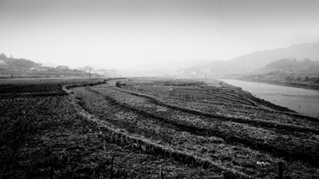 DSC01864-1-1-2