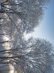 52011