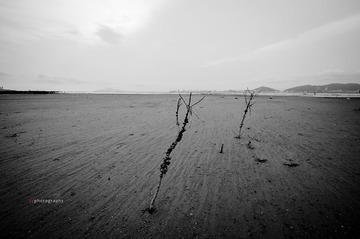 DSC_0098_ps