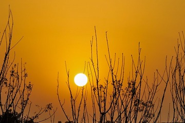 A47D31DE-9802-4D05-ABFE-704265C7892A/L0/001