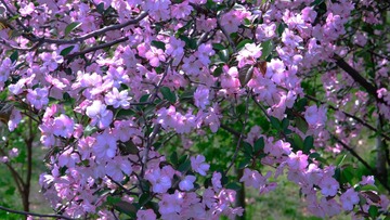 1C3597CF-60A8-4369-9879-7E1B8AFC3D53/L0/001