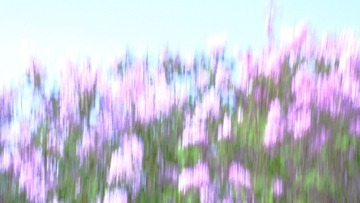 C661C888-9007-4E6D-B272-DB544FAC3B29/L0/001