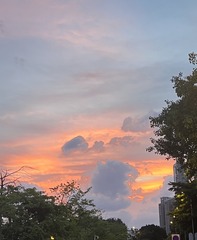 07685F13-9057-48FA-A48E-49456F5B9763/L0/001