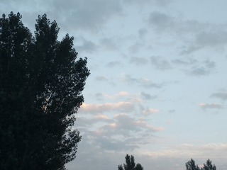 1134216