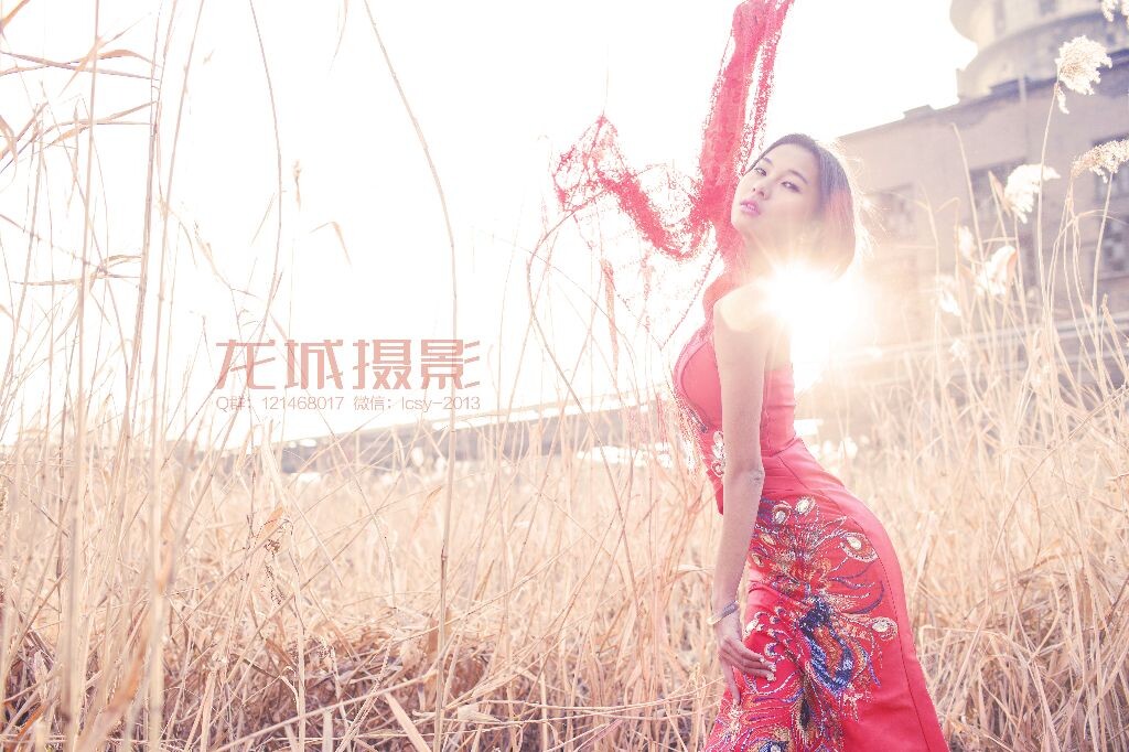 关注龙城摄影微信：lcsy-2013、尽享视觉美餐！