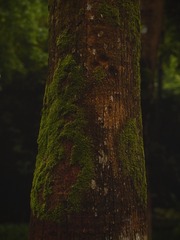 2DFDC1B2-6D06-4FD3-8DE4-067F34FA2B51/L0/001