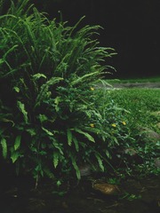 D5752F77-4623-47B8-AC69-990DBD963696/L0/001