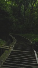7411F795-6D93-488D-9C8C-2DC5B21DC195/L0/001