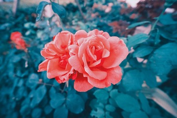 1105140