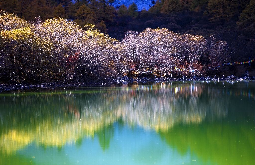 珍珠海